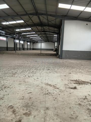 Commercial space 600 m² for rent in Mohammédia — Photo 6