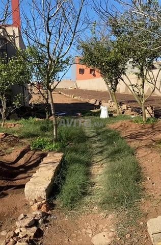 Terrain 3500 m² à vendre à El Jadida — Photo 10