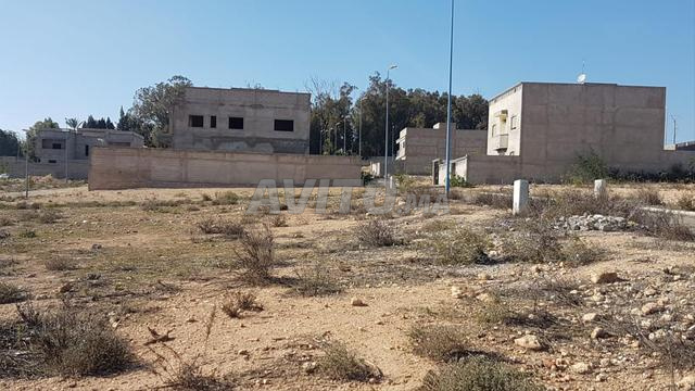 أرض 400 متر مربع للبيع في أسفي — Photo 2