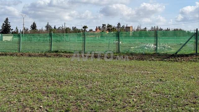 Terrain 15645 m² à vendre à Casablanca — Photo 3