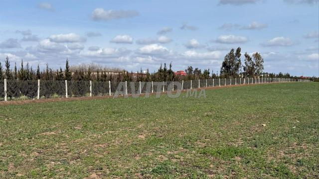 Terrain 15645 m² à vendre à Casablanca — Photo 11