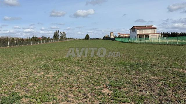 Terrain 15645 m² à vendre à Casablanca — Photo 29
