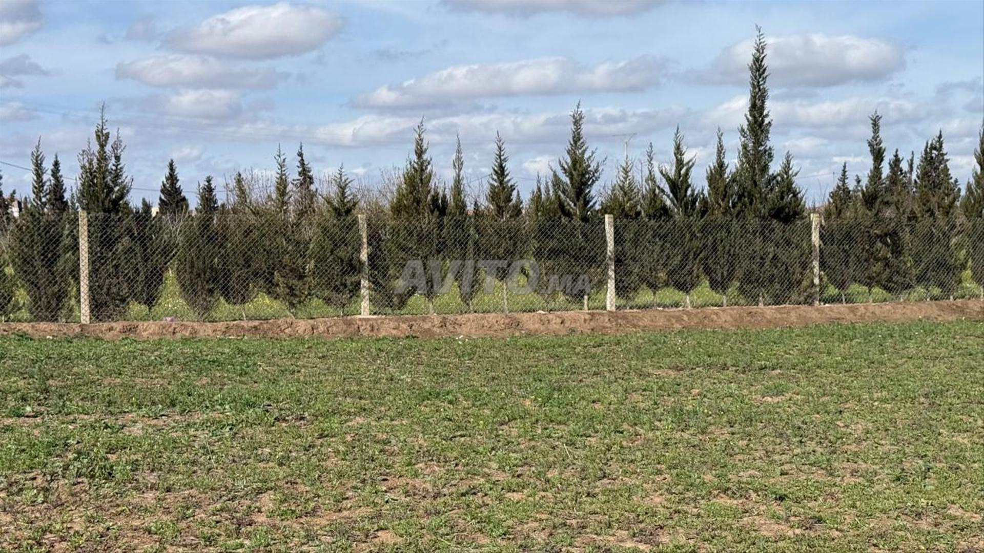 Terrain 15645 m² à vendre à Casablanca