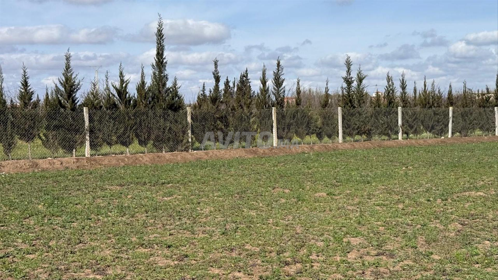Terrain 15645 m² à vendre à Casablanca — Photo 18