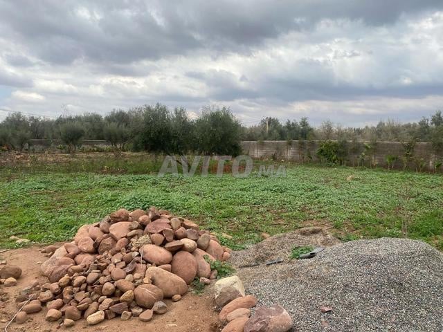 أرض زراعية للبيع 1600 م² في مراكش — Photo 2