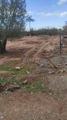700 m² Land for Sale in Marrakech — Photo 3