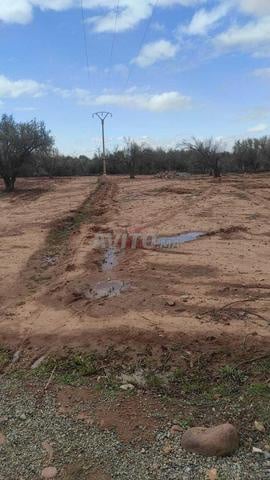700 m² Land for Sale in Marrakech — Photo 5