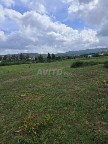 Terrain 1200 m² à vendre à Tétouan — Photo 2
