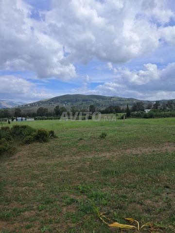 Terrain 1200 m² à vendre à Tétouan — Photo 4