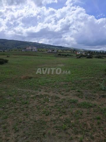 Terrain 1200 m² à vendre à Tétouan — Photo 8