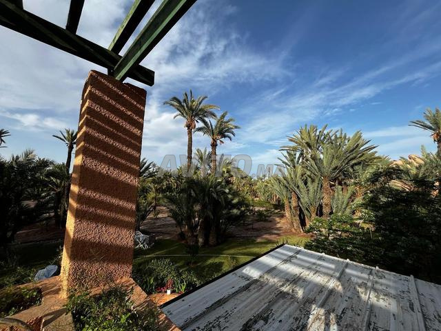 Apartment for daily rent in Marrakech - 800 MAD — Photo 8