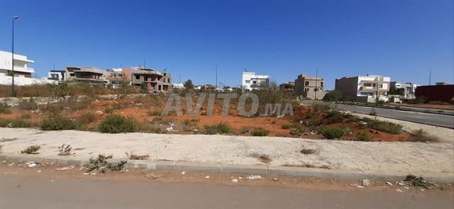أرض 1135 م² للبيع في القنيطرة — Photo 8