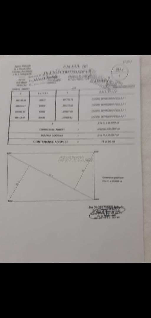 أرض 1135 م² للبيع في القنيطرة — Photo 9