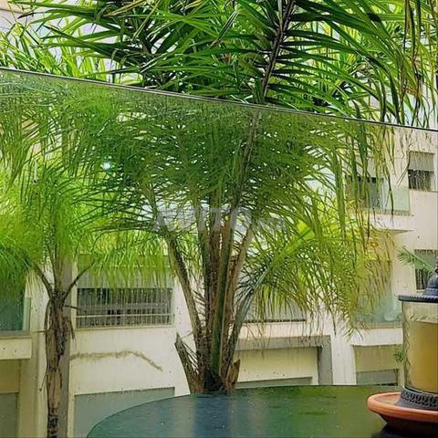 Apartment 106 m² for sale in Casablanca Bourgogne (Anfa) — Photo 31