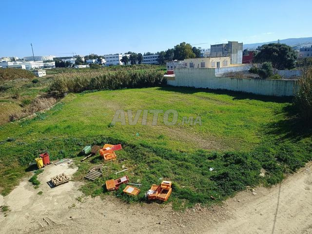 Land 100 m² for Sale in Tangier — Photo 2
