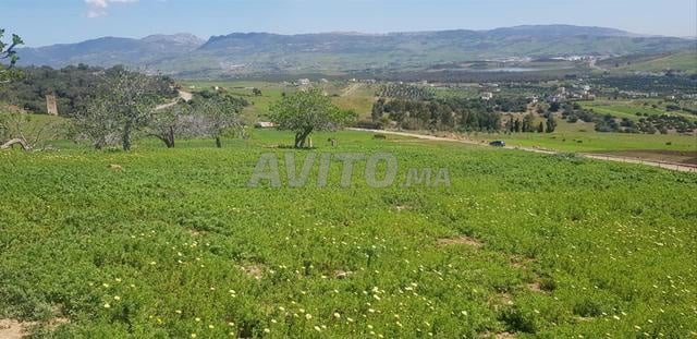 Terrain 1681 m² à vendre à Tétouan – Souk El Khemis — Photo 2