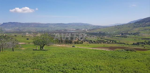 Terrain 1681 m² à vendre à Tétouan – Souk El Khemis — Photo 6
