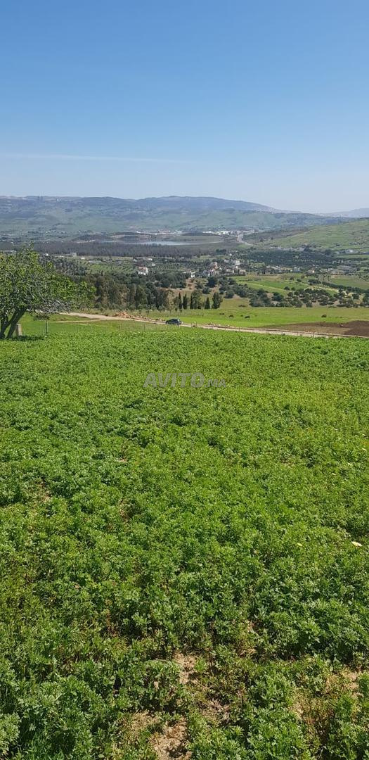 Terrain 1681 m² à vendre à Tétouan – Souk El Khemis — Photo 3