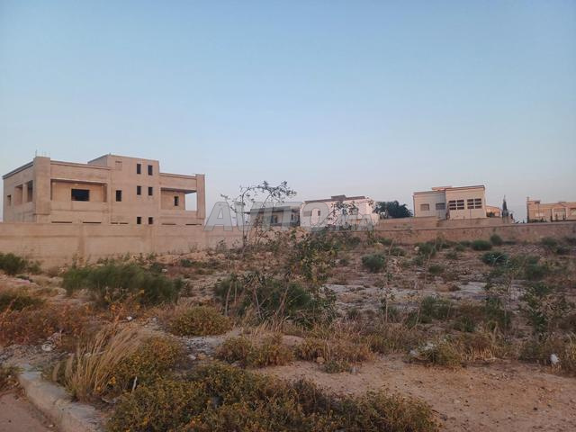 أرض فيلا 800 م² للبيع في أسفي — Photo 13