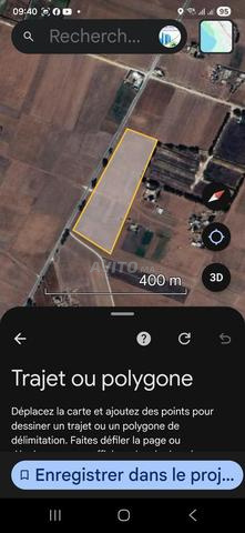 أرض 35000 م² للبيع في بير جديد — Photo 11