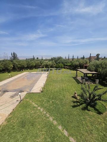 Land 3 ha for sale in Marrakech — Photo 3