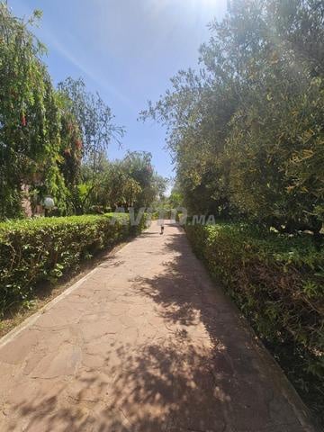 Land 3 ha for sale in Marrakech — Photo 5