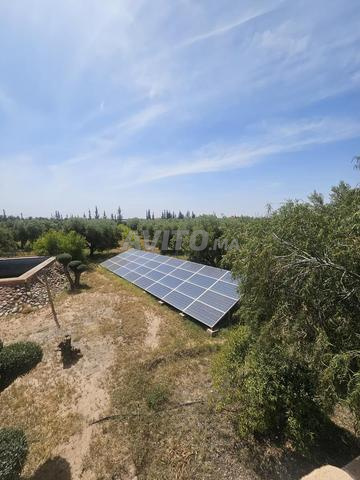Land 3 ha for sale in Marrakech — Photo 8