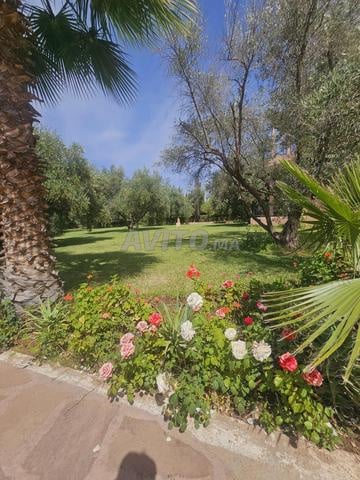 Land 3 ha for sale in Marrakech — Photo 9