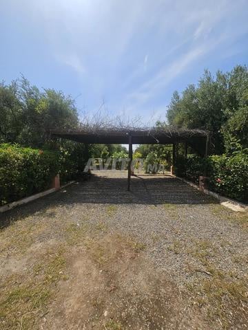 Land 3 ha for sale in Marrakech — Photo 10