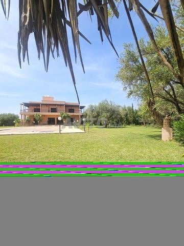 Land 3 ha for sale in Marrakech — Photo 11