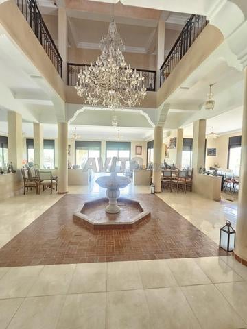 Land 3 ha for sale in Marrakech — Photo 16