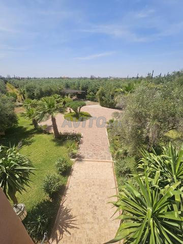 Land 3 ha for sale in Marrakech — Photo 19