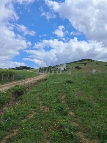 Terrain 3000 m² à vendre à Tanger — Photo 2