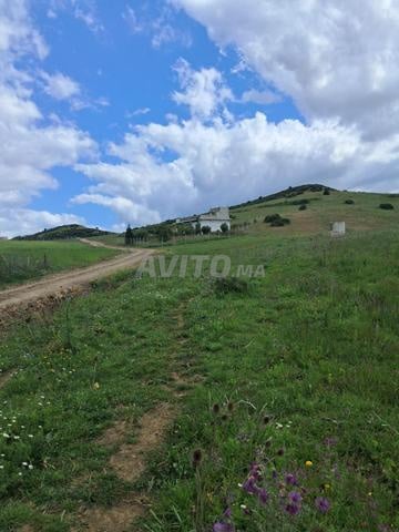Terrain 3000 m² à vendre à Tanger — Photo 6