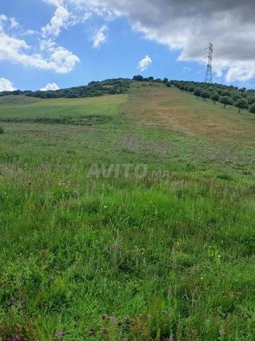Terrain 3000 m² à vendre à Tanger — Photo 8