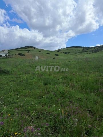 Terrain 3000 m² à vendre à Tanger — Photo 10