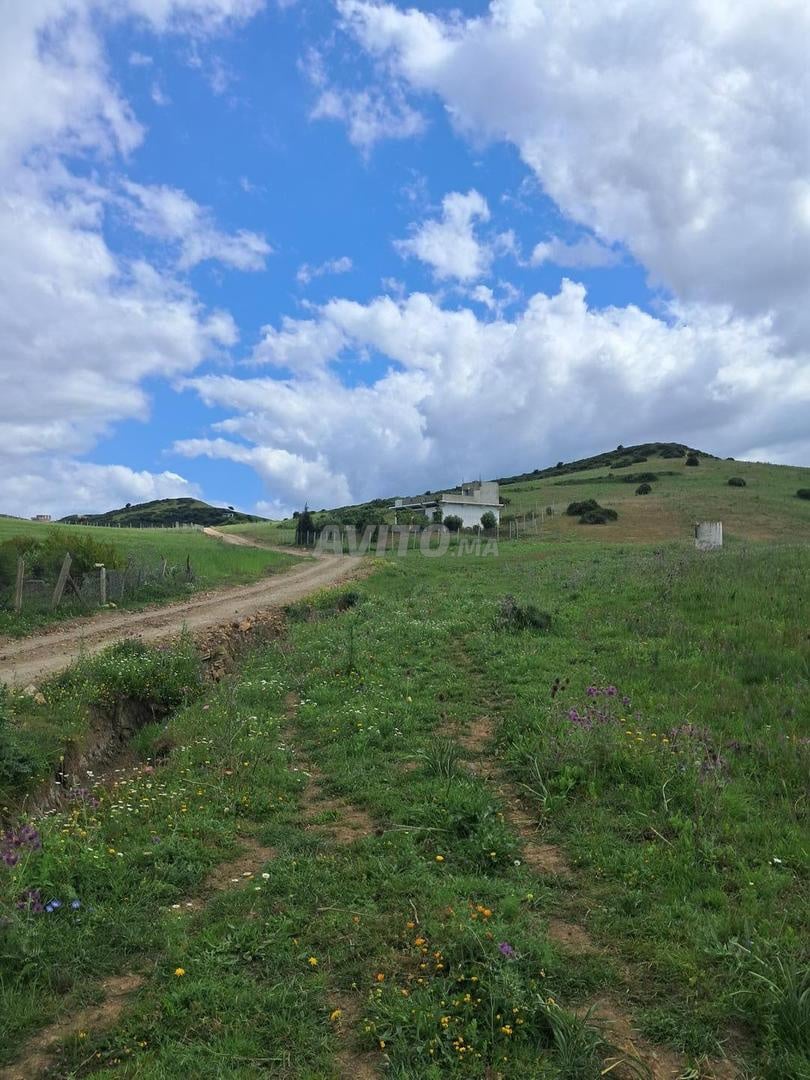 Terrain 3000 m² à vendre à Tanger — Photo 3