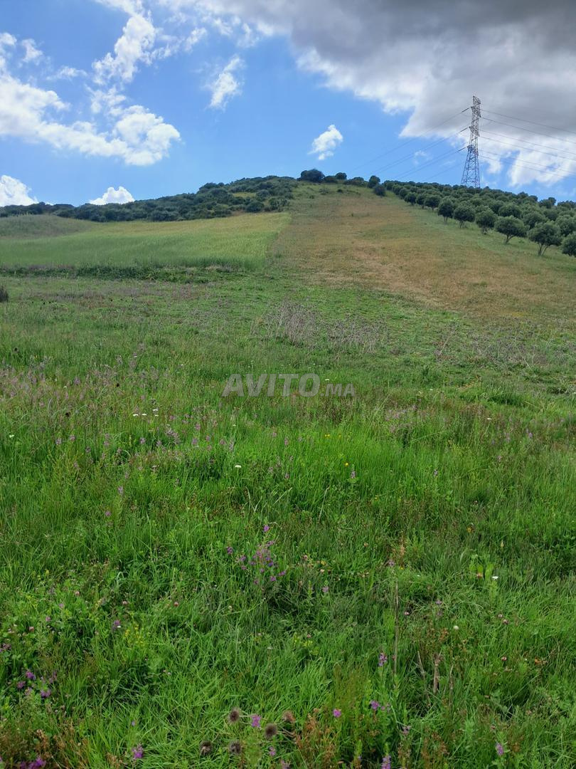 Terrain 3000 m² à vendre à Tanger — Photo 7