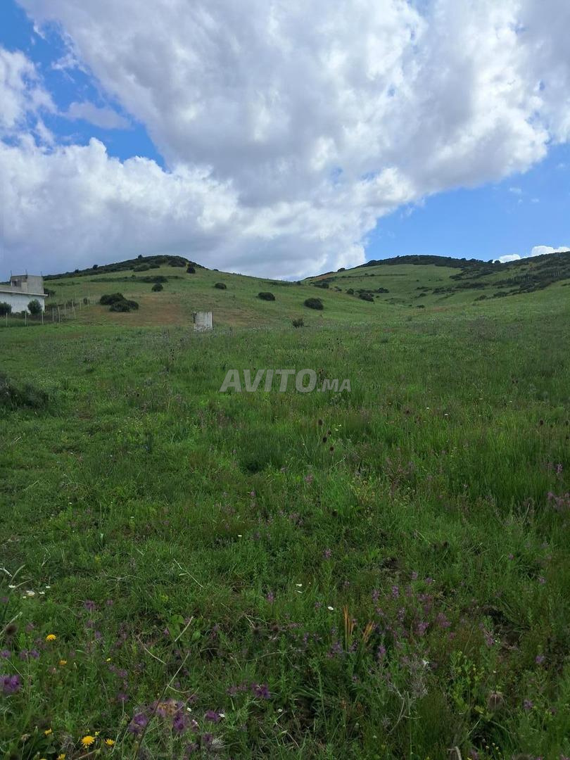 Terrain 3000 m² à vendre à Tanger — Photo 9