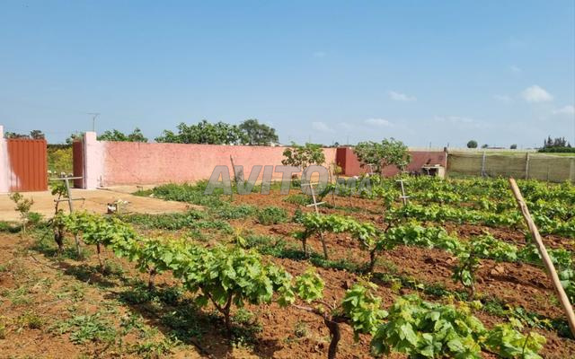 Land 10700 m² for Sale in Rabat — Photo 5