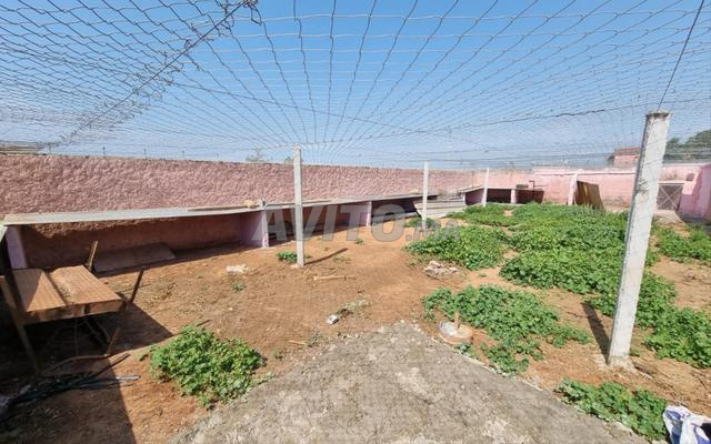 Land 10700 m² for Sale in Rabat — Photo 11