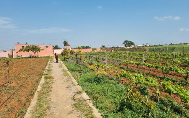 Land 10700 m² for Sale in Rabat — Photo 13