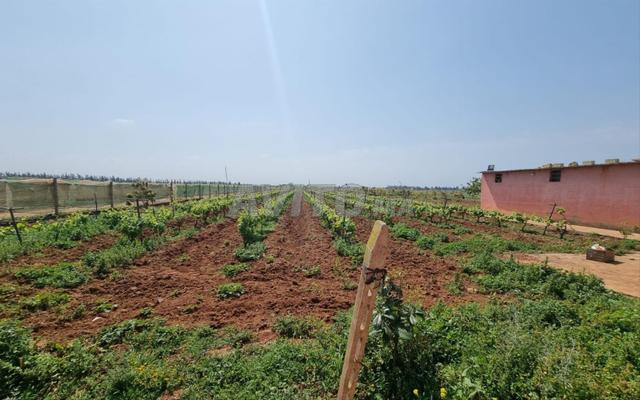 Land 10700 m² for Sale in Rabat — Photo 15