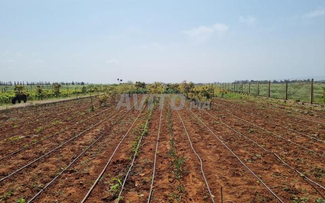 Land 10700 m² for Sale in Rabat — Photo 16