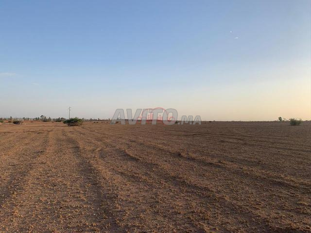 أرض 76374 م² للبيع في مراكش — Photo 5