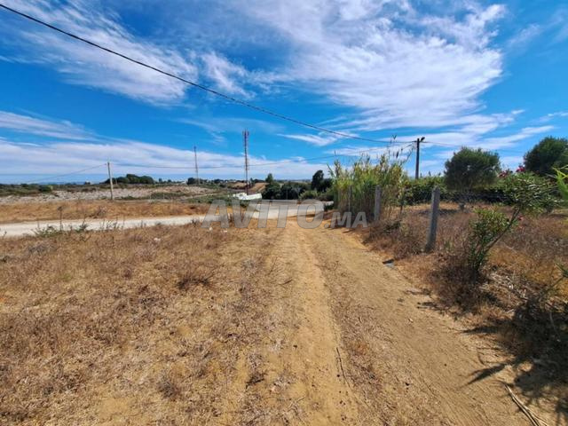 Land for sale 2568 m² in Tangier, Asila road — Photo 13
