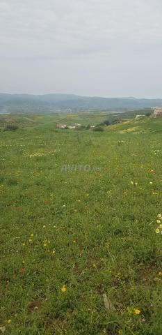 Terrain 4000 m² à vendre à Tétouan — Photo 3