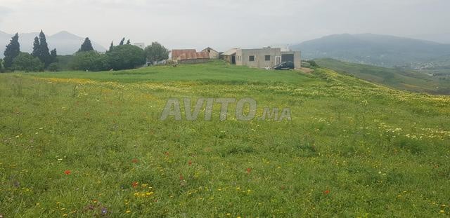 Terrain 4000 m² à vendre à Tétouan — Photo 9