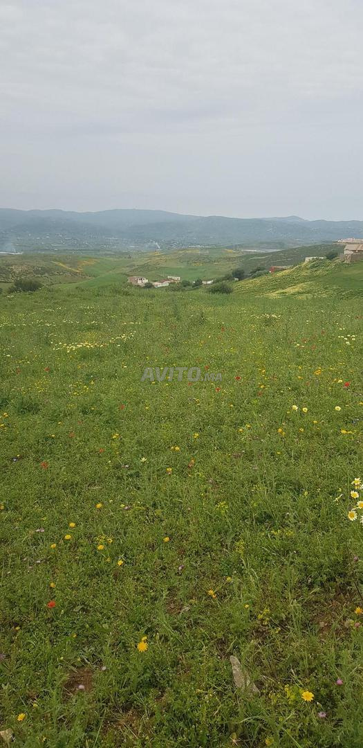 Terrain 4000 m² à vendre à Tétouan — Photo 4