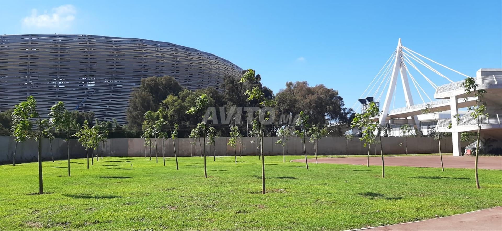 Villa 613 m² à vendre à Rabat Hay Ryad — Photo 27